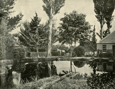 De Zalmvijvers, New Norfolk door Unbekannt