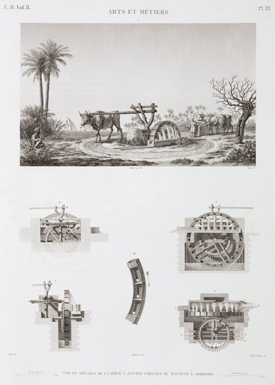 Dierkracht Dier-aangedreven irrigatie, Egypte, ca. 1798 door Unbekannt