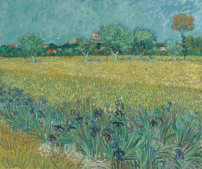 Veld met Bloemen bij Arles door Vincent van Gogh