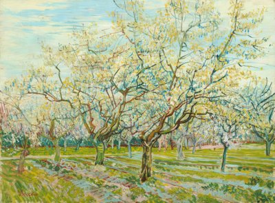 De witte boomgaard door Vincent van Gogh