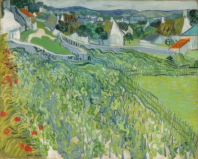 Wijngaarden in Auvers. 1890 door Vincent van Gogh