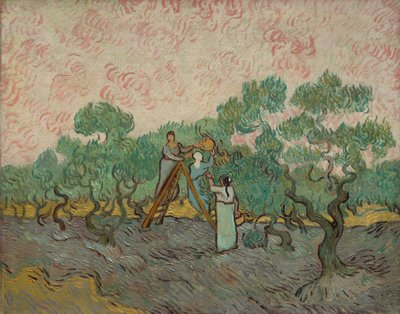 Vrouwen die olijven plukken door Vincent van Gogh