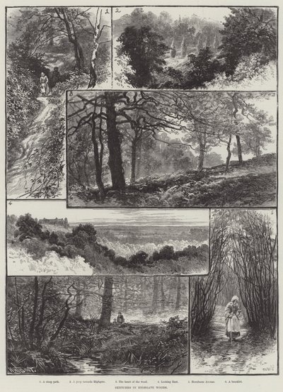 Schetsen in Highgate Woods door William Henry James Boot