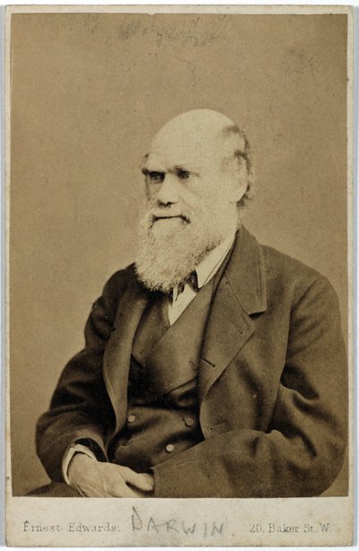 Charles Darwin, Engelse natuuronderzoeker, ca. 1870s door Ferdinand Georg Waldmuller