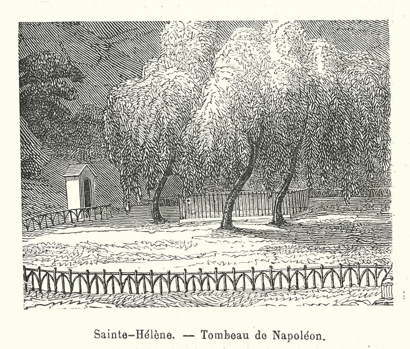 Sainte-Helene, Tombe van Napoleon door (after) French School