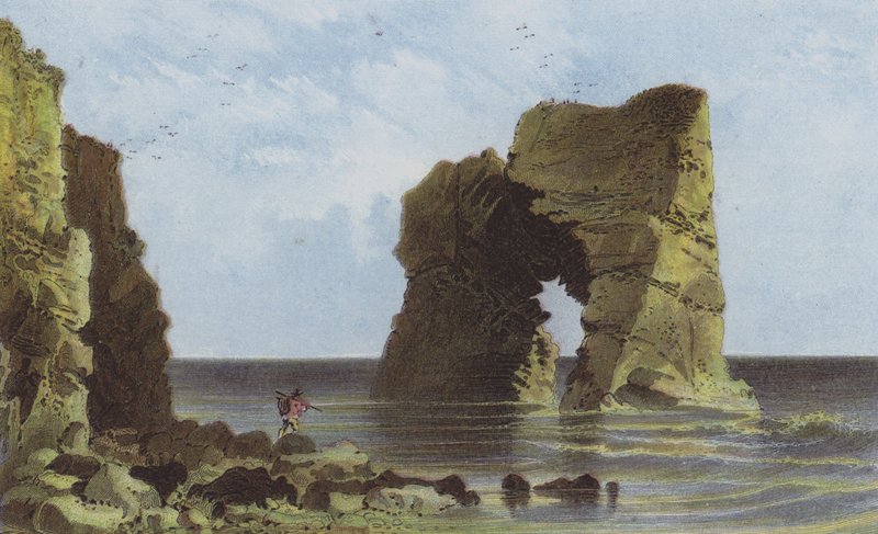 Gebogen Rots, Freshwater Baai door English School