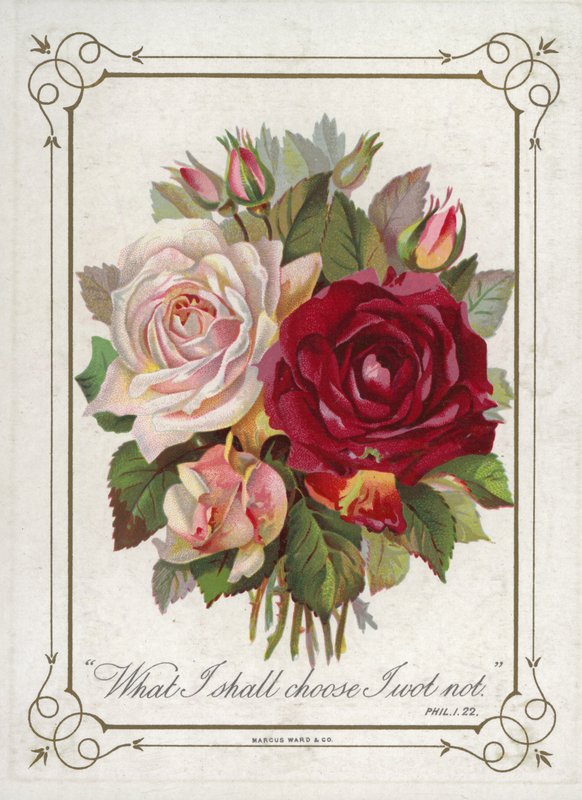 Boeket bloemen door English School