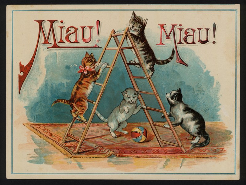Miau! Miau! door European School