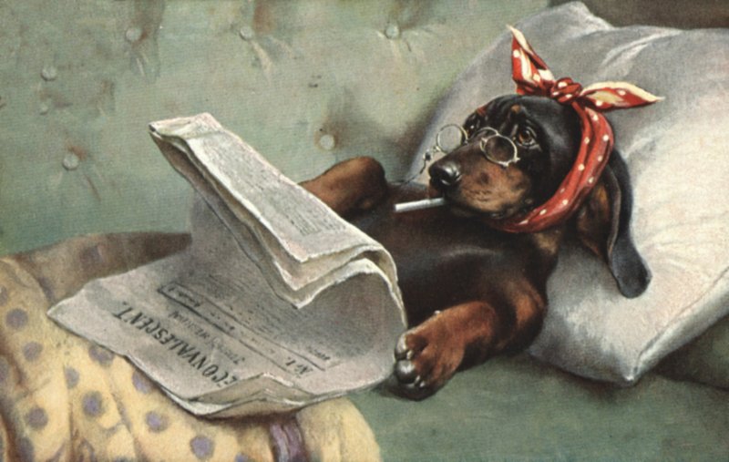 Hond die een krant leest door French School