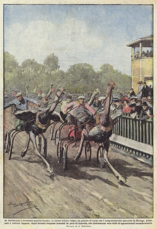 In Californië is een zeer populaire race ontstaan door Achille Beltrame