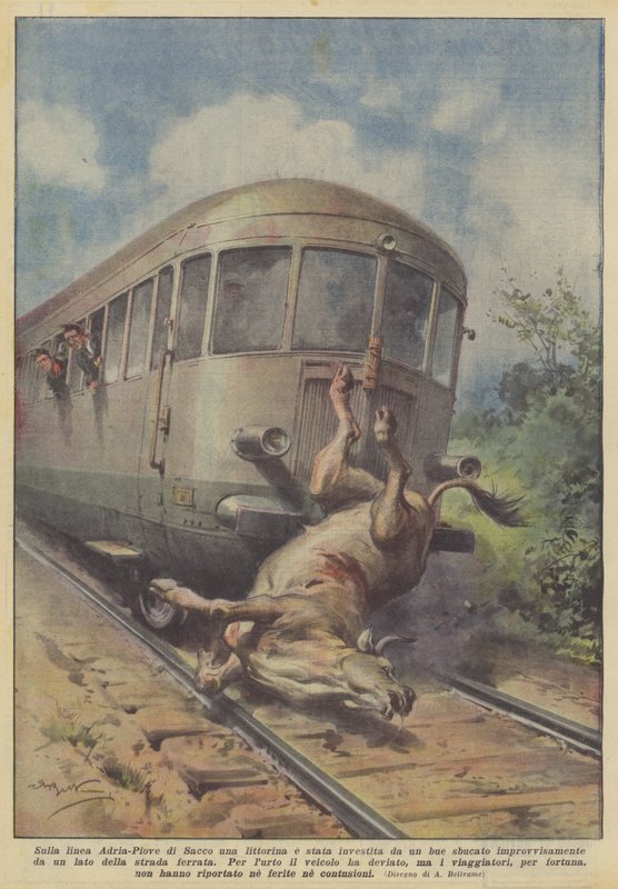 Op de lijn Adria-Piove di Sacco werd een railbus aangereden door een plotseling opduikende os door Achille Beltrame