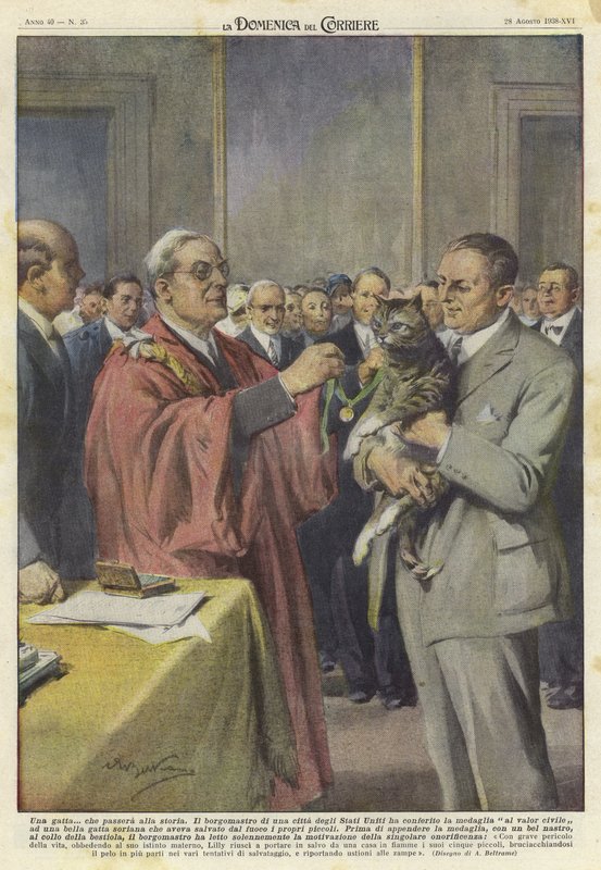 Een kat geëerd met een medaille door Achille Beltrame