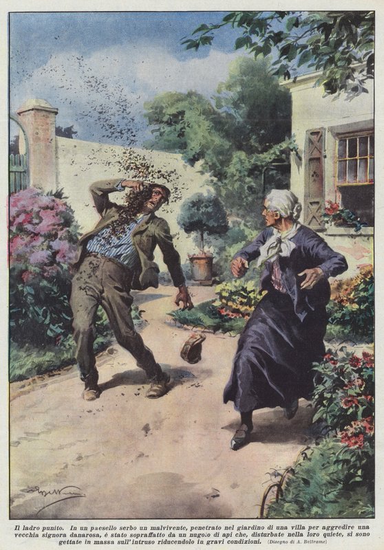 De gestrafte dief door Achille Beltrame