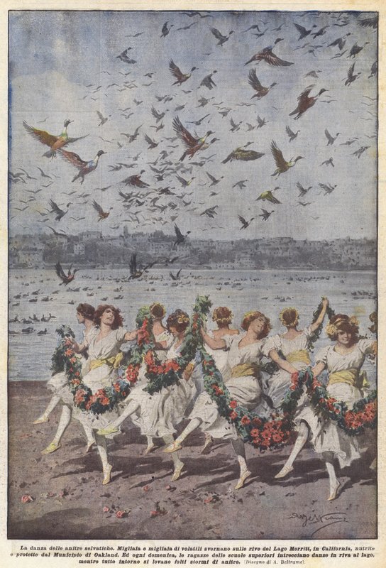 De dans van de wilde eenden door Achille Beltrame