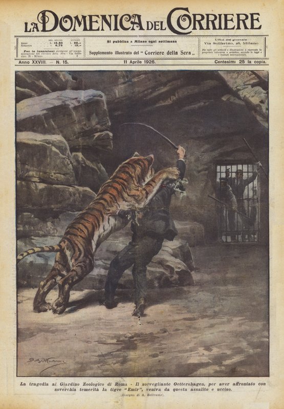 De tragedie in de dierentuin van Rome door Achille Beltrame