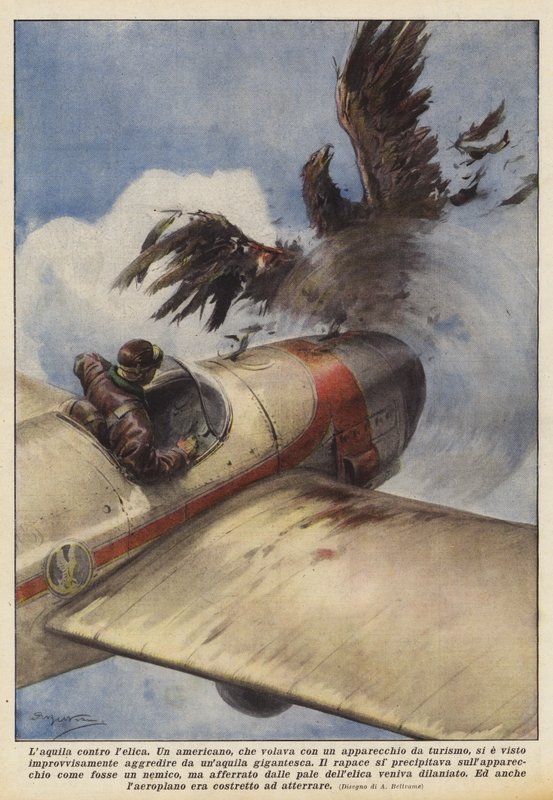 De adelaar tegen de propeller door Achille Beltrame