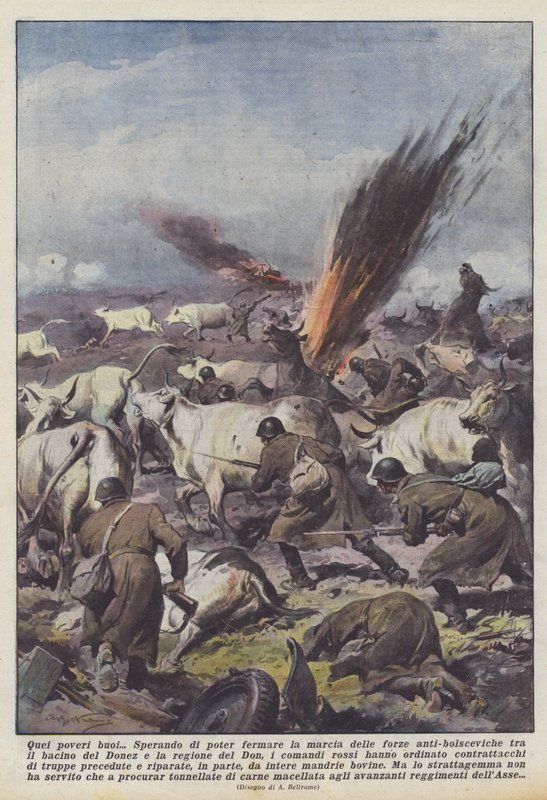 Die arme ossen door Achille Beltrame
