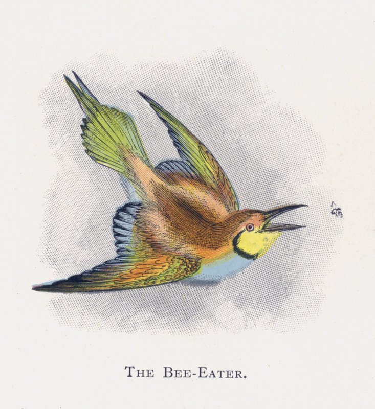 De Bijeneter door Alexander Francis Lydon