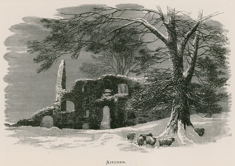 Kirkstall Abbey, keuken door Alexander Francis Lydon