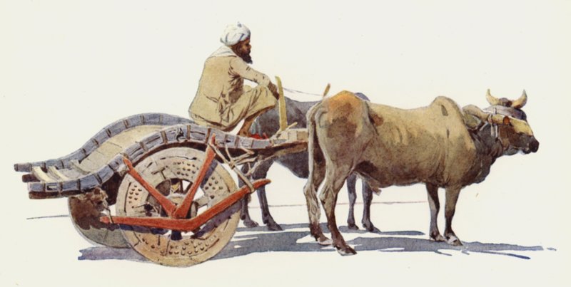 Een Ossenkar, Jodhpur door Alexander Henry Hallam Murray