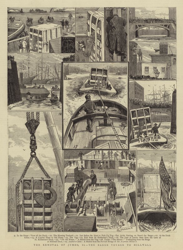 De verhuizing van Jumbo, II, de schuitreis naar Millwall door Alfred Chantrey Corbould