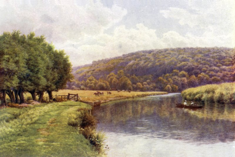 Quarry Woods, Marlow door Alfred Robert Quinton