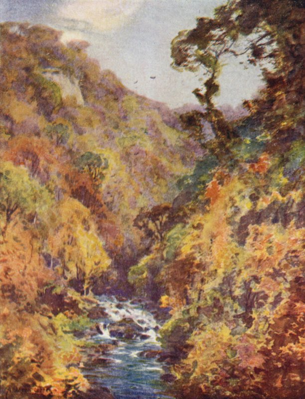 De Dargle, County Wicklow door Alfred Heaton Cooper