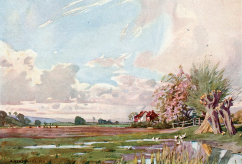 Het Eiland Athelney door Alfred Heaton Cooper