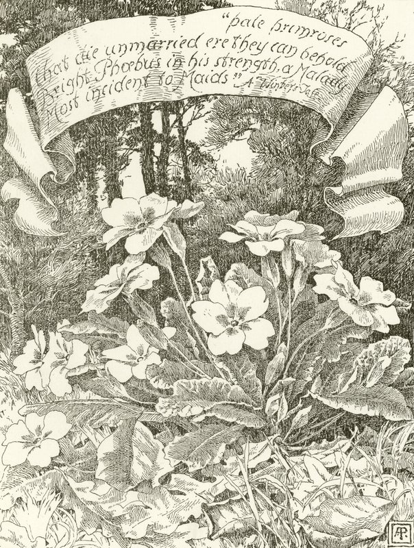 Bleke Sleutelbloemen door Alfred Parsons