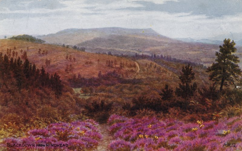 Blackdown vanaf Hindhead door Alfred Robert Quinton