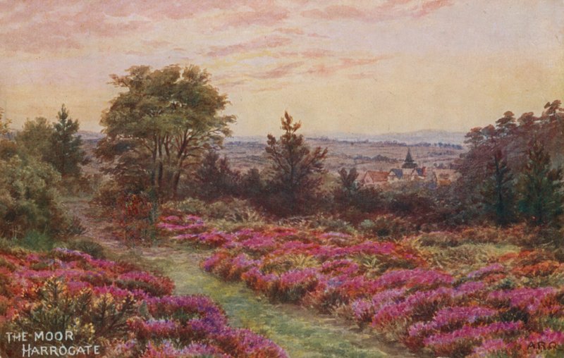 De Moor, Harrogate door Alfred Robert Quinton