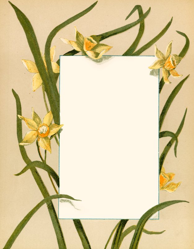 Maart door Alicia Amy Leith