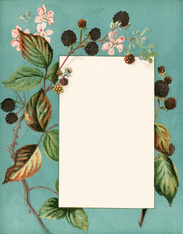 September door Alicia Amy Leith