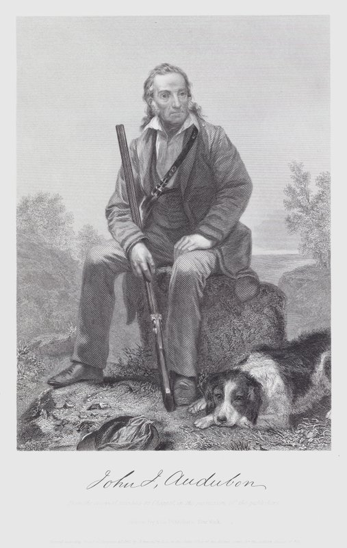 John James Audubon (gravure) door Alonzo (after) Chappel