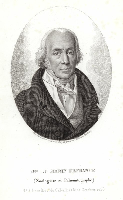 Jacques-Louis Marin de France door Ambroise Tardieu