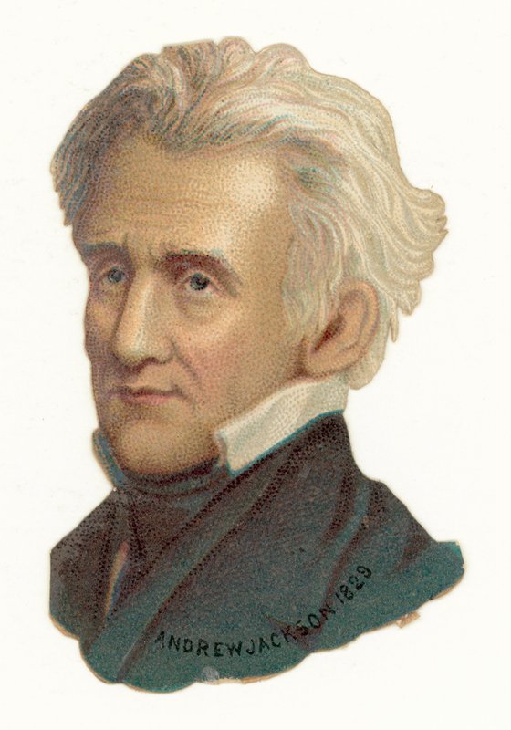 Andrew Jackson door American School