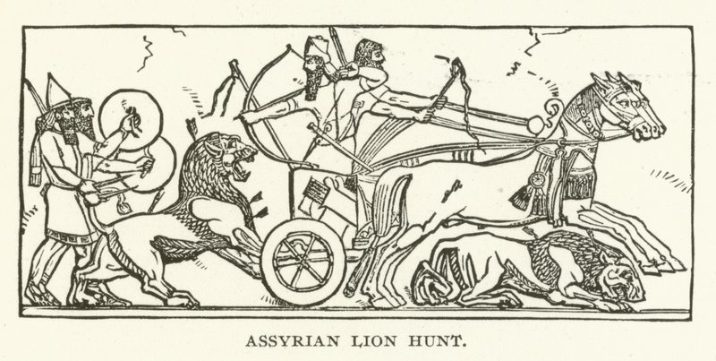 Assyrische leeuwenjacht door American School