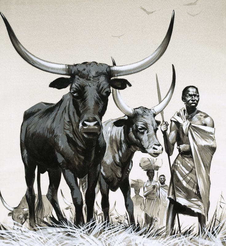Ankole vee door Angus McBride