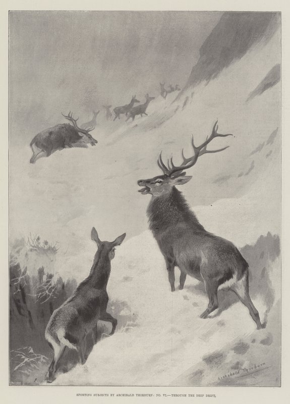 Sportonderwerpen, door de diepe drift door Archibald Thorburn
