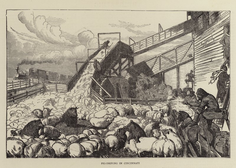 Varkensdrijven in Cincinnati door Arthur Boyd Houghton