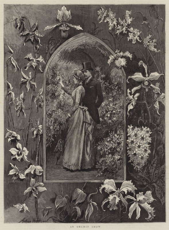 Een Orchideeëntentoonstelling door Arthur Hopkins