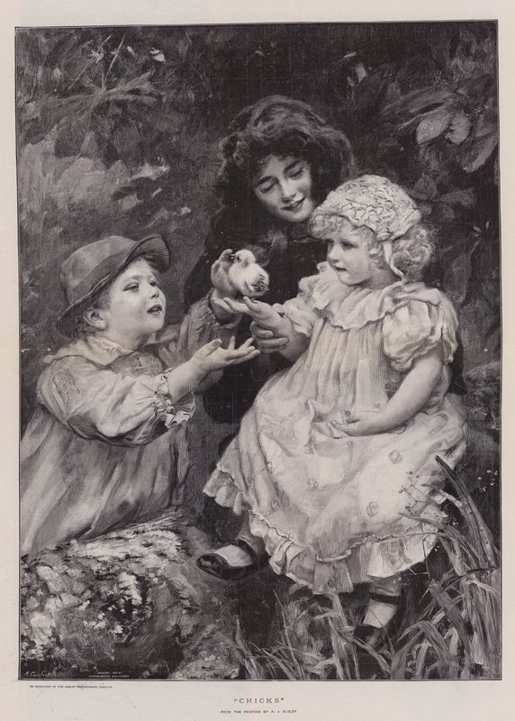Kuikens door Arthur John Elsley