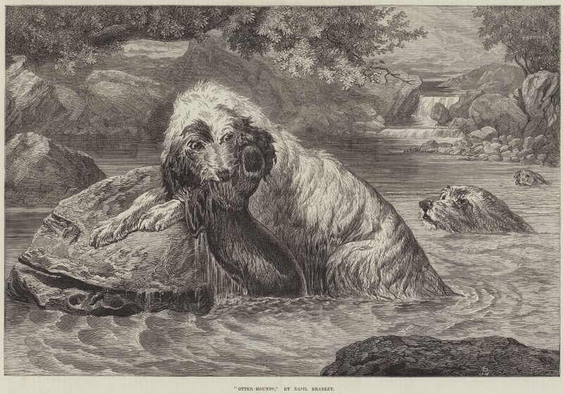 Otter-Honden door Basil Bradley