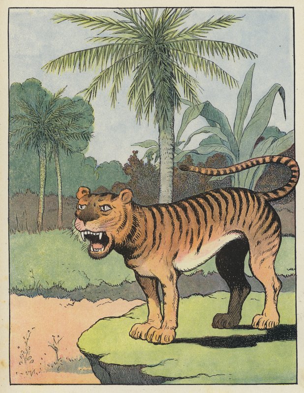 Tijger door Benjamin Rabier