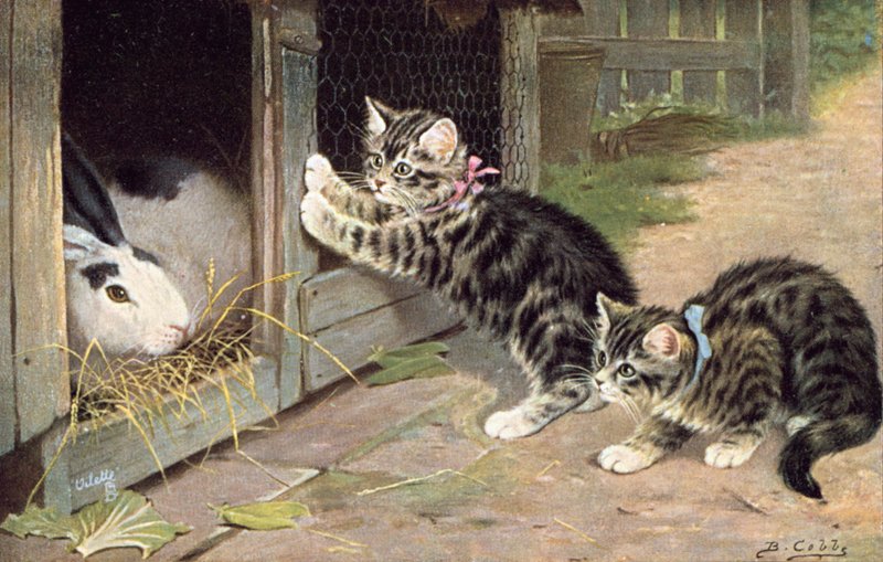 Katten ansichtkaart door Bernard Cobbe