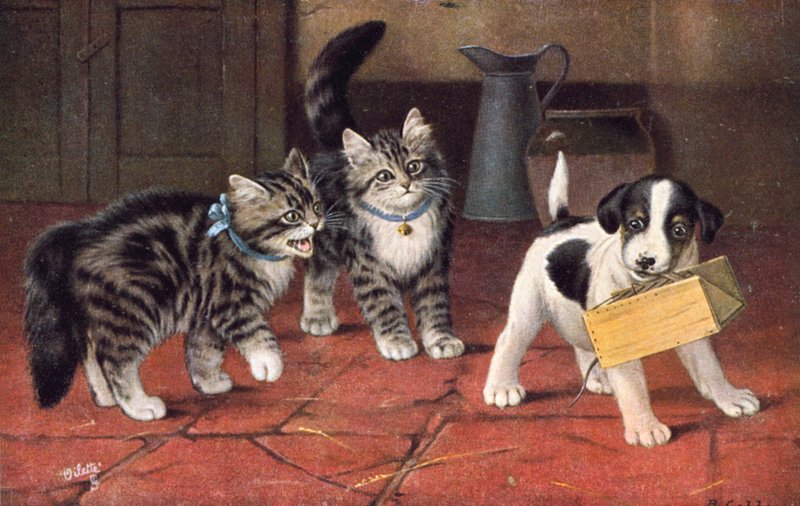 Kattenansichtkaart door Bernard Cobbe