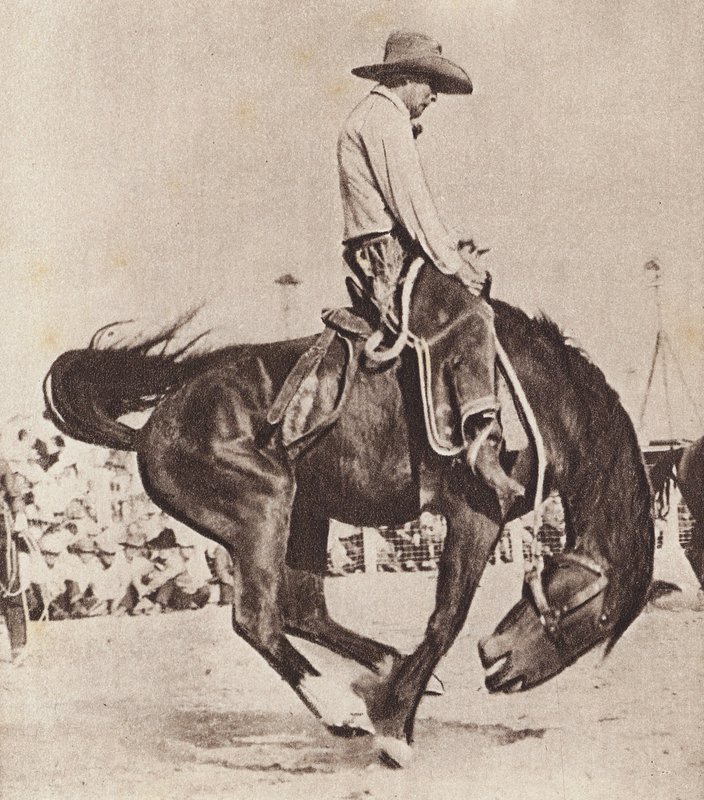 Cowboy rijdt op een bronco (z/w foto) door Canadian Photographer