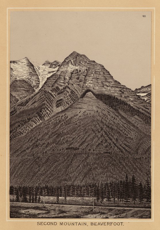 Canada: Second Mountain, Beaverfoot door Canadian School