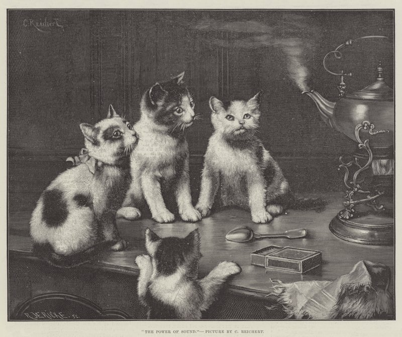 De Kracht van Geluid door Carl Reichert
