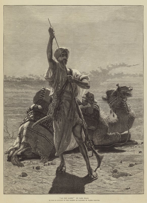 Op de uitkijk door Carl Haag